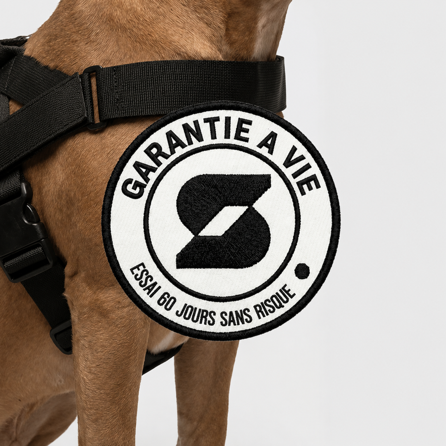 Harnais - Friendly Dog