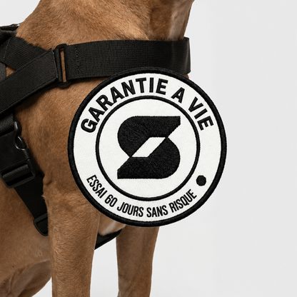 Harnais - Friendly Dog