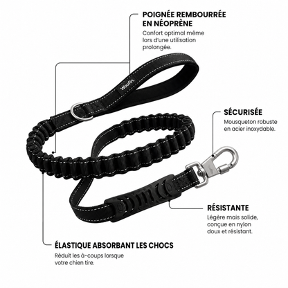 Laisse confort